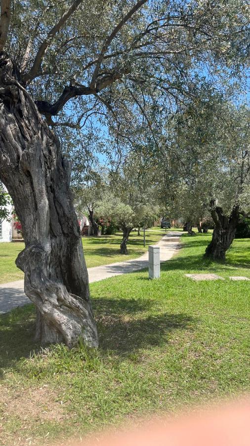 L'Isola Dei Vacanzieri Sant'Andrea Apostolo dello Ionio Buitenkant foto